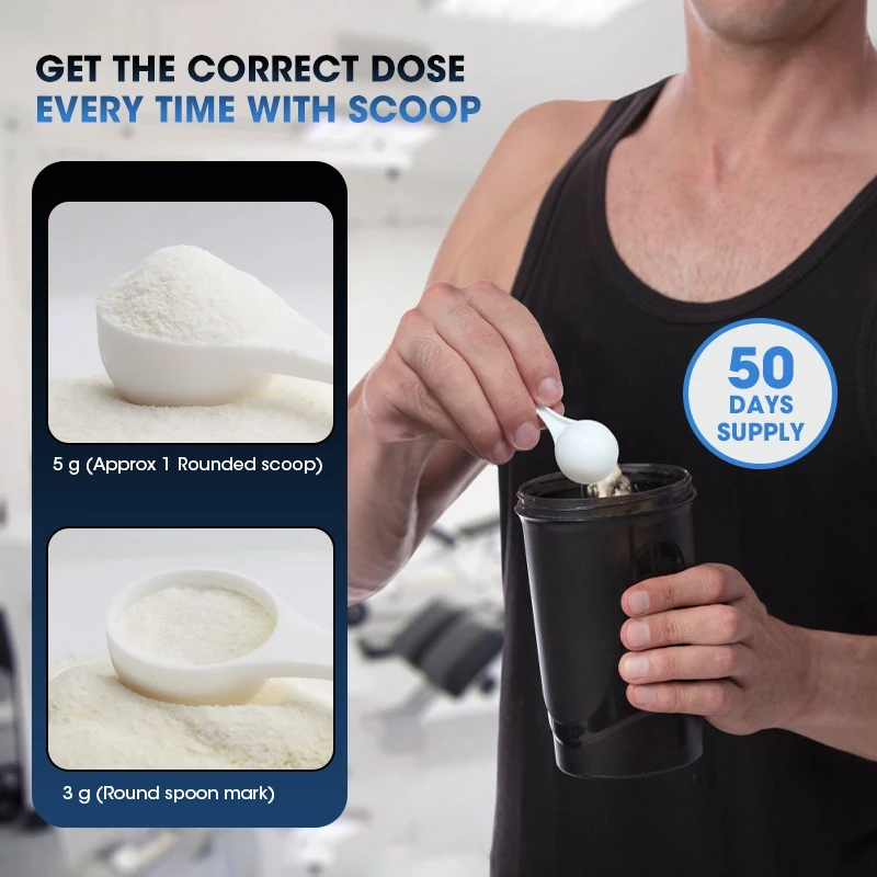 Kexinsh Creatine Monohydrate P - Creatine Monohydrate Powder ulasan dan harga