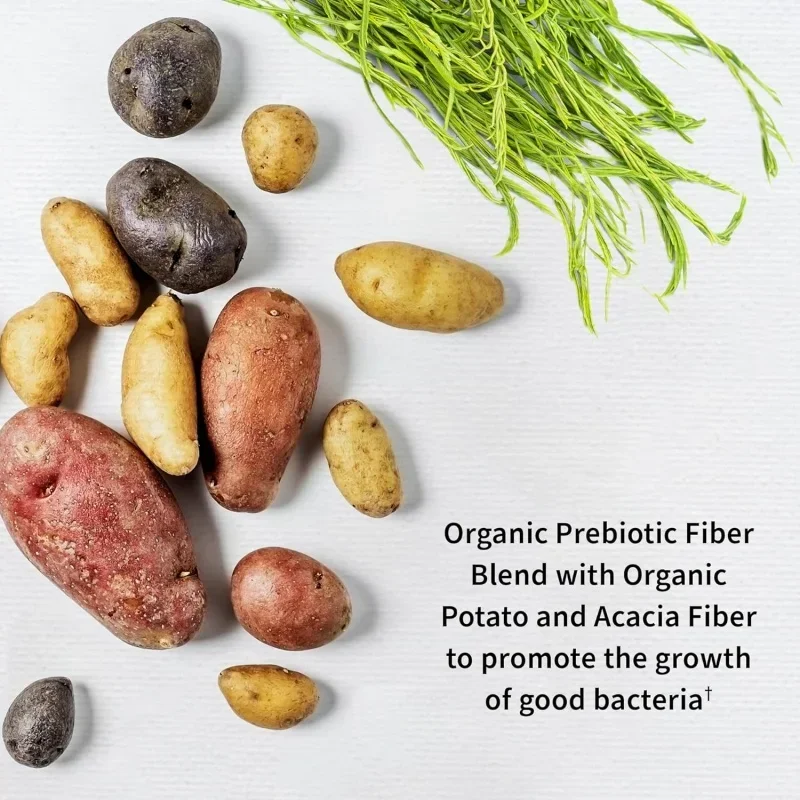 Probiotik Untuk Wanita & Prebi - Probiotics Women Health ulasan dan harga
