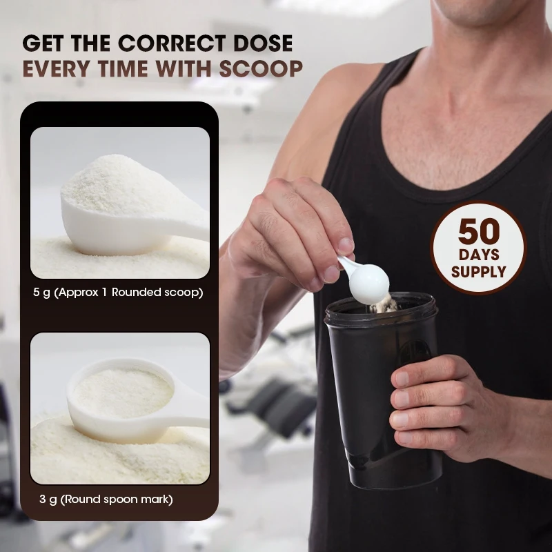 Kexinsh Creatine Powder Pemben - Creatine Monohydrate Powder ulasan dan harga